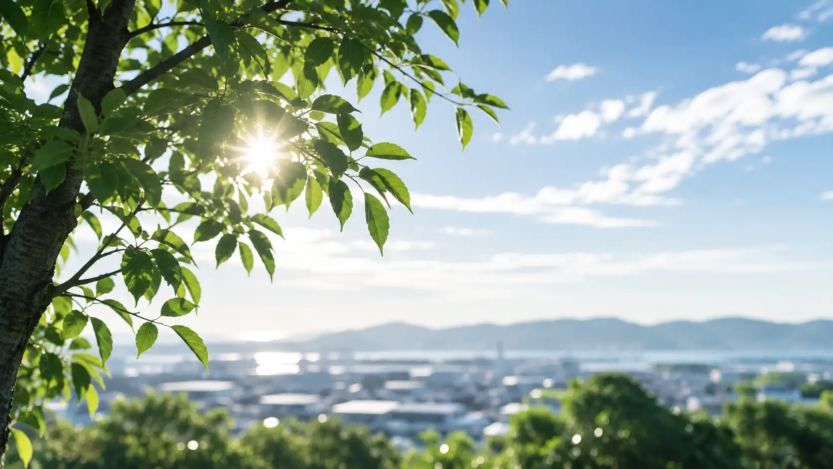 地域と環境を支えるCSR活動のイメージ